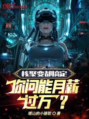 核聚变多少钱