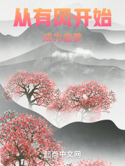 从有风开始成为曲爹笔趣
