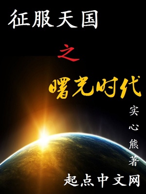 征服天国之曙光时代TXT下载