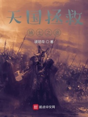 天国拯救:骑士之途