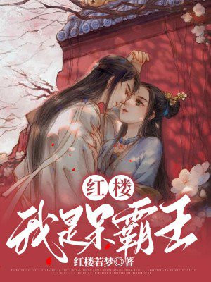 红楼呆霸王小说