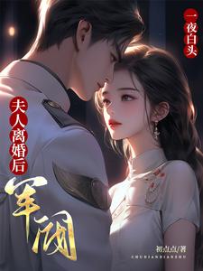 夫人离婚后,军阀大佬一夜白头初点点