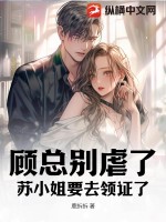 顾小姐是什么小说