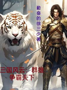 三国群雄争霸下载