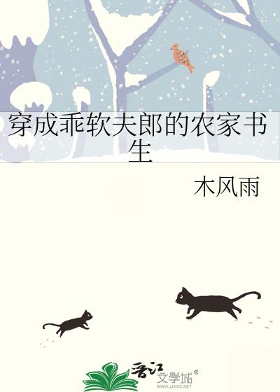 穿成乖软夫郎的农家书生全文阅读