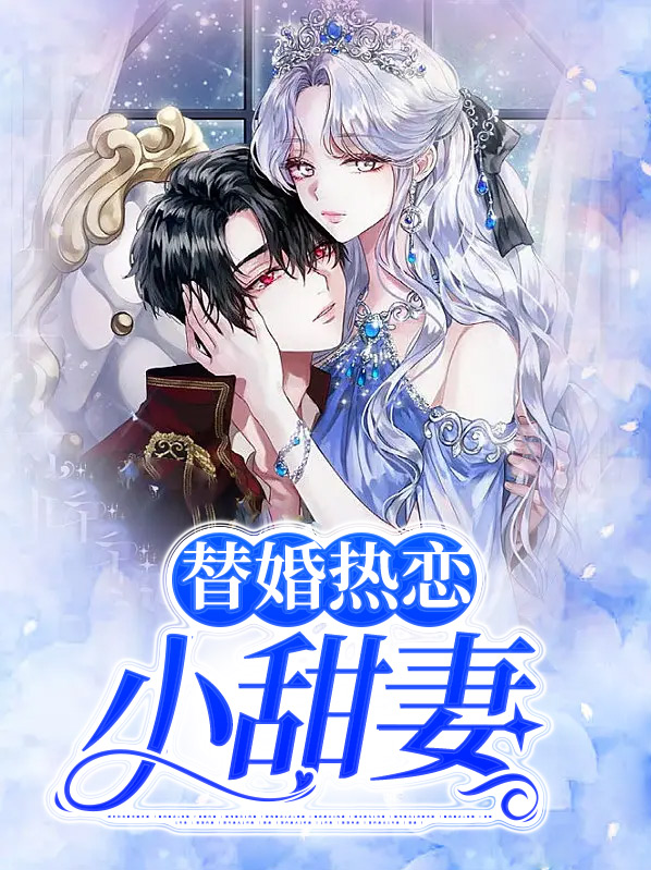 替婚的小说