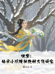 好孕 小说
