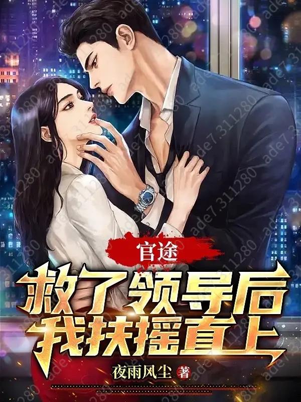官途:救了领导后我扶摇直上 夜雨风尘