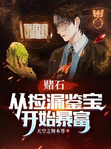 赌石捡漏小说