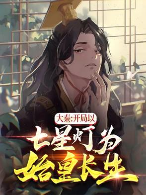 大秦开局以七星灯为始皇长生武者境界