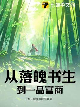 从落魄书生到一品富商的小说