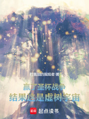 圣杯战争介绍