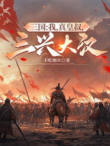 三国我真是大反 小说