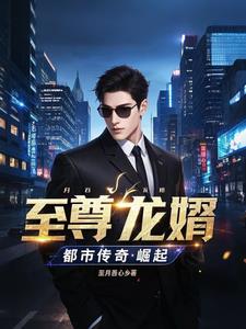 至尊龙婿章节目录