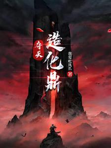 夺天造化鼎小说