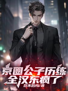 京圈公子历练,全汉东疯了苏哲