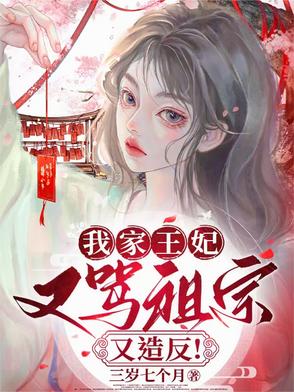 我家王妃又惹祸了 小说