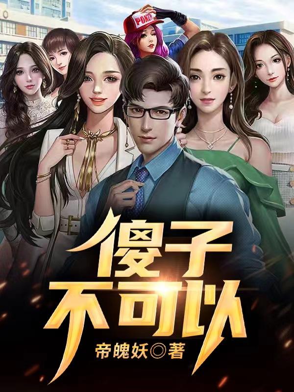 傻子,不可以书名