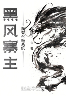 黑风寨主：我有召唤系统