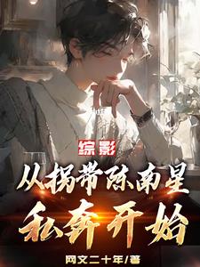 综影视都市小说