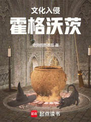 霍格沃茨教授小说推荐