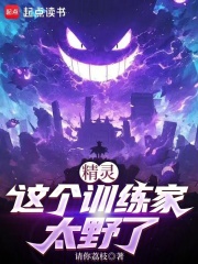 精灵:这个训练家太野了 请你荔枝 轻小说 ・ 衍生同