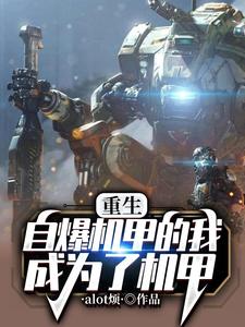 重生机甲风暴 小说
