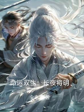命运长夜剧情