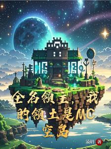 全名领主,我的领土是mc空岛的小说