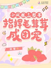 小凤凰dj