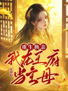 重生换亲:我在王府当主母全文免费阅读 271