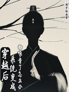穿越变成了系统的小说