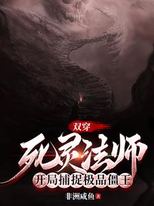 穿越成死灵法师的小说