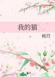 我的猫头鹰迷路了