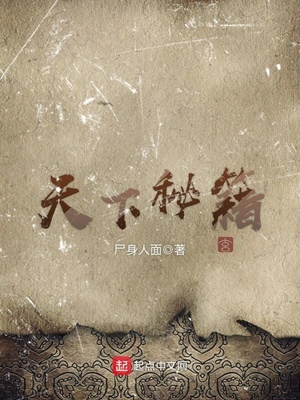 天下秘籍小说免费阅读