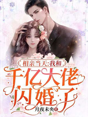 相亲当天,我和千亿大佬闪婚了
