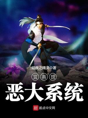赏善罚恶类的小说