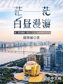 茫茫白昼漫游TXT下载