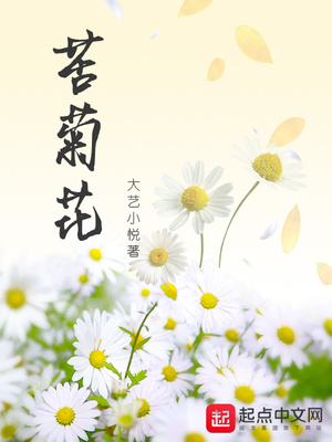苦菊花茶