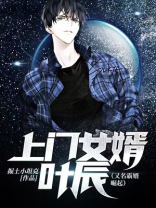 上门女婿叶辰免费阅读小说
