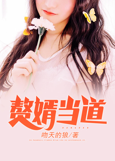 赘婿当道全集