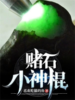 赌石小神棍TXT免费下载