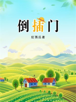 倒插门女婿的小说大全