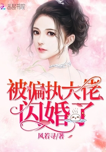被偏执大佬闪婚了 风若寻