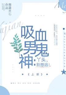 吸血鬼别咬我小说