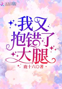 抱错大腿之后 小说