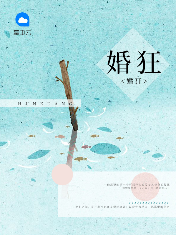 婚狂电视剧