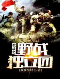 抗战之野战独立团电视剧