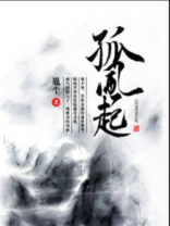 孤风起