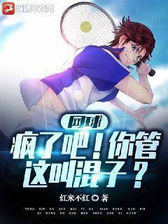 网球疯了吧你管这叫混子下载